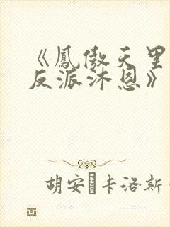《凤傲天里黄毛反派沐恩》小说免费观看