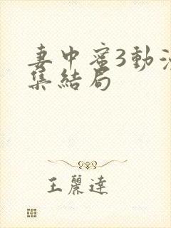 妻中蜜3动漫全集结局