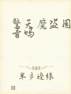 惊天魔盗团2好看吗