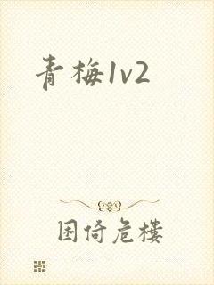 青梅1v2