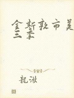 金斯敦市美剧第三季