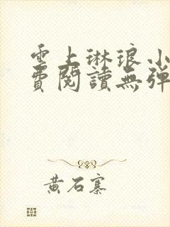 云上琳琅小说免费阅读无弹窗