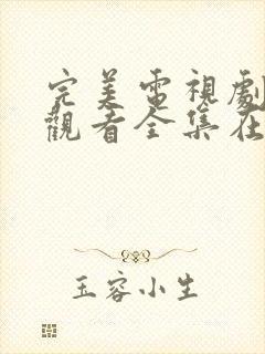 完美电视剧免费观看全集在线观看