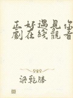 正好遇见你电视剧在线观看免费不卡