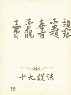 正青春电视剧免费观看赵露思