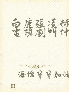 白鹿张凌赫演的电视剧叫什么封面