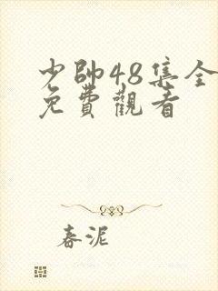 少帅48集全集免费观看封面