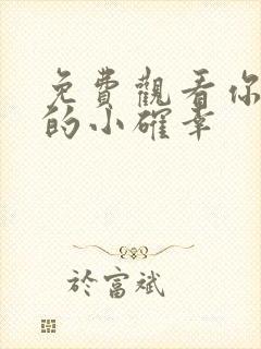 免费观看你是我的小确幸