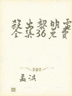 杀出黎明电视剧全集36免费观看