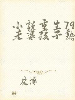 小说重生79:老婆孩子热炕头阅读