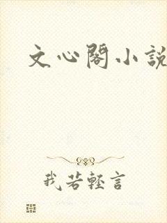 文心阁小说