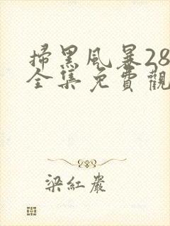 扫黑风暴28集全集免费观看