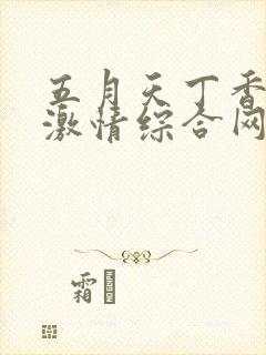 五月天丁香婷婷激情综合网