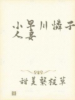 小早川怜子高级人妻