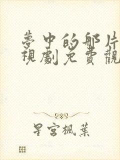 梦中的那片海电视剧免费观看全集高清