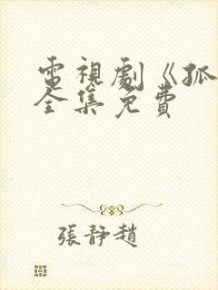 电视剧《孤战》全集免费