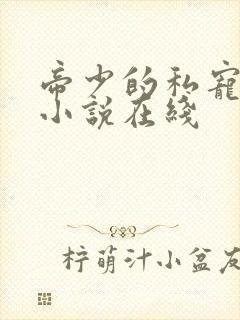 帝少的私宠罪妻小说在线