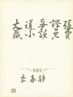 大道争锋张衍孔赢小说免费听书