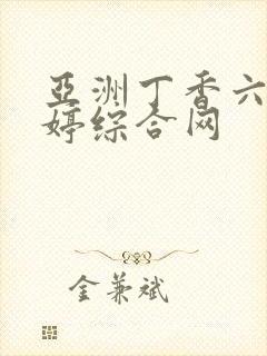 亚洲丁香六月婷婷综合网