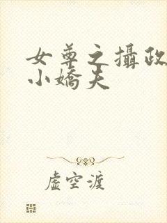 女尊之摄政王的小娇夫