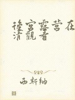 后宫露营在线高清观看