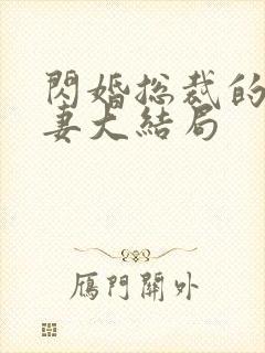 闪婚总裁的契约妻大结局