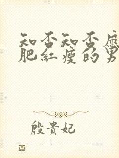 知否知否应是绿肥红瘦的男主是谁