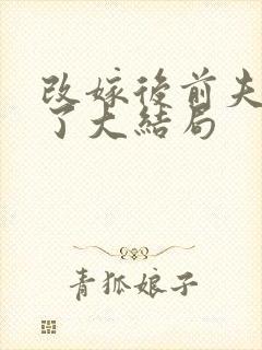 改嫁后前夫悔疯了大结局封面