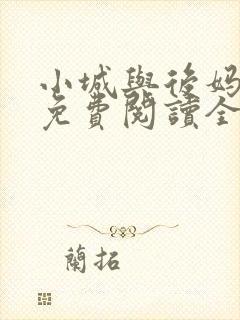 小城与后妈小说免费阅读全文最新章节封面