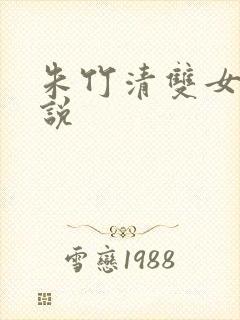 朱竹清双女主小说