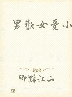 男欢女爱小说封面