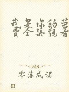 我是你的荣耀免费全集观看高清