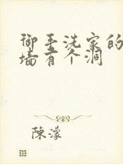 御手洗家的故事墙有个洞