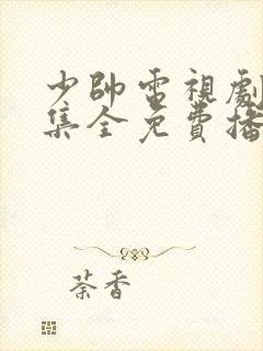 少帅电视剧48集全免费播放