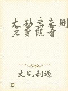 大劫案未删减版免费观看