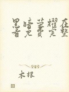 黑暗荣耀在线观看免费完整版韩剧网封面