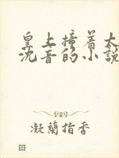 皇上撞着太子妃沈音的小说叫什么