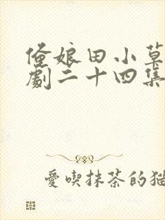 俺娘田小草电视剧二十四集