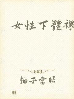 女性下体裸体照封面