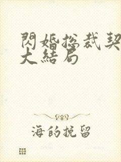 闪婚总裁契约妻大结局