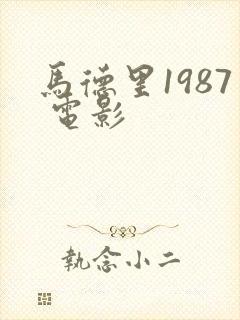 马德里1987 电影封面