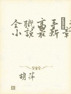 全职高手·叶秋小说最新章节精校版