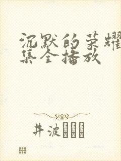 沉默的荣耀40集全播放封面