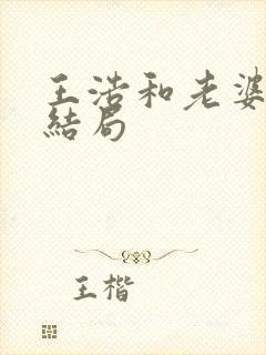 王浩和老婆最后结局