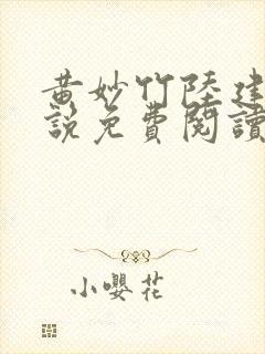 黄妙竹陆建义小说免费阅读最新章节