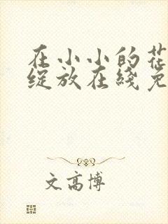 在小小的花蕾里绽放在线免费观看封面