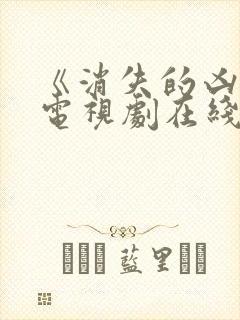 《消失的凶手》电视剧在线观看