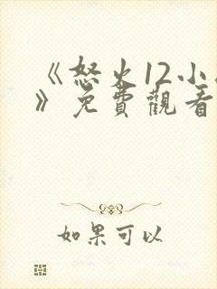 《怒火12小时》免费观看 完整