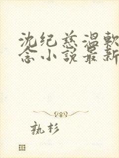 沈纪慈温软许念念小说最新章节更新