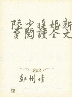 陆少暖婚新妻免费阅读全文无弹窗封面